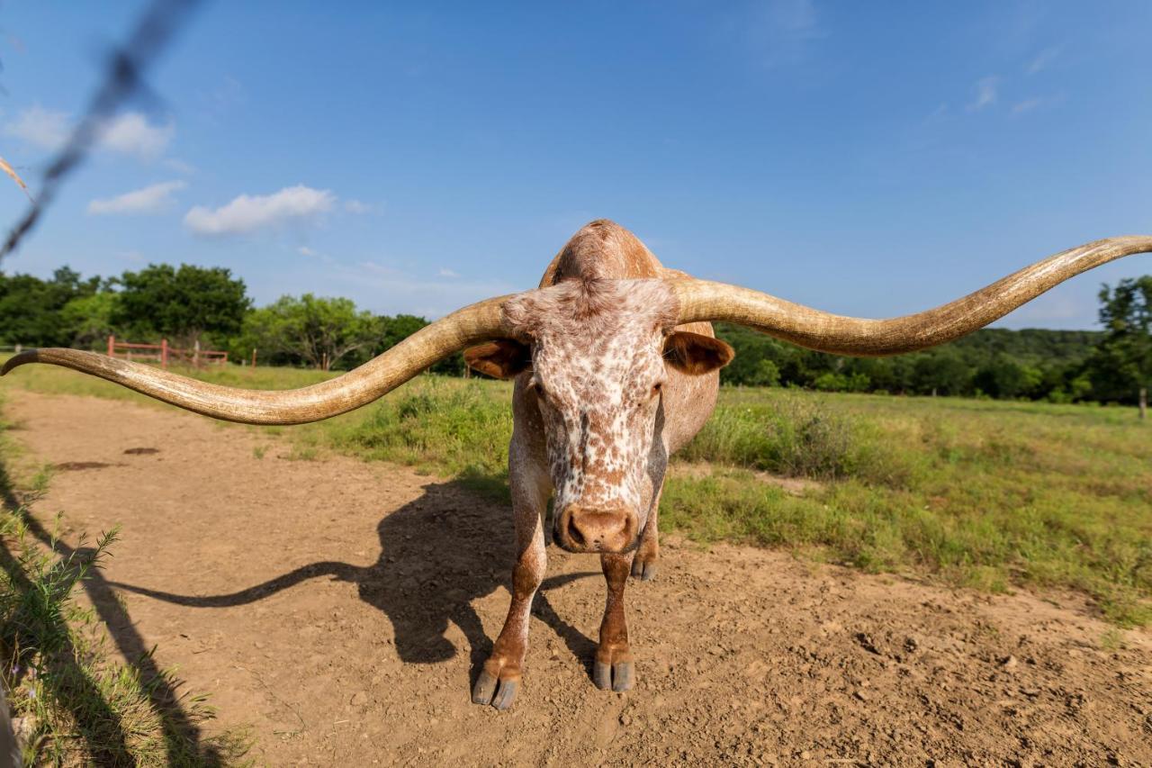 Wildcatter Ranch And Resort Graham Exterior photo